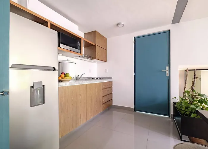 Sunny Penthouse Private Terrace Reforma Ac Apartment Mexico City