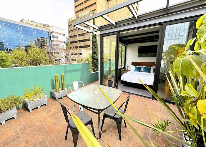 Apartment Sunny Penthouse Private Terrace Reforma Ac *